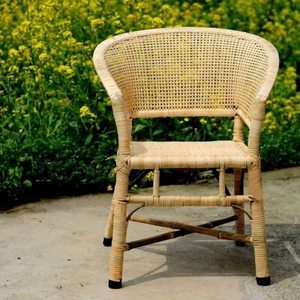【植物藤椅子】最新植物藤椅子/批發報價